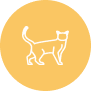 Кот